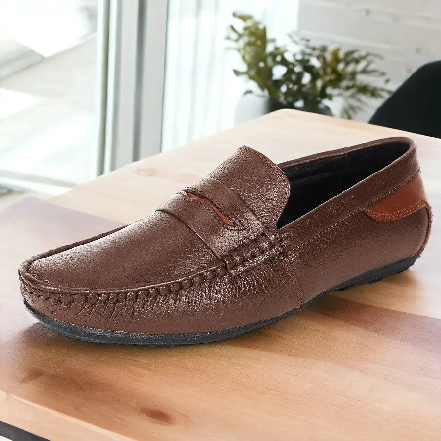 L10brown.webp
